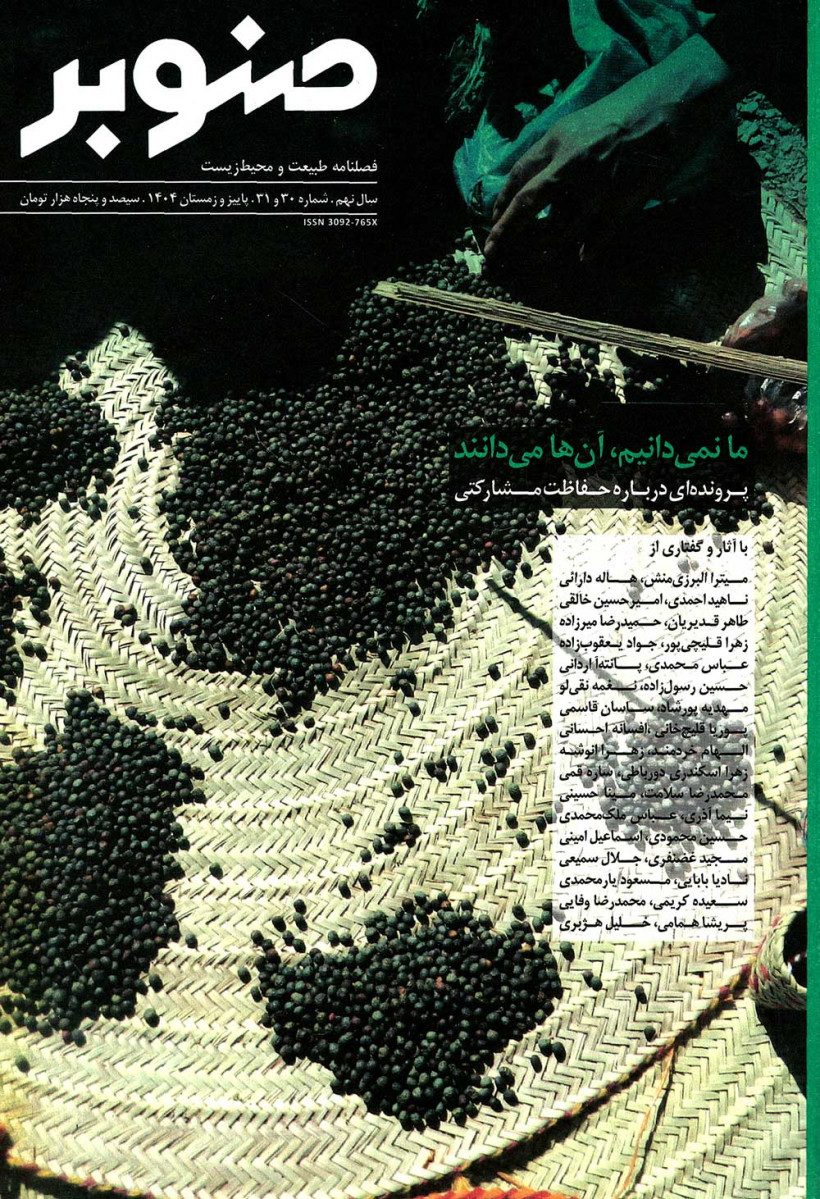 مجله صنوبر شماره ۳۰ و ۳۱