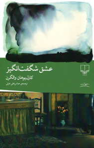 عشق شگفت انگیز