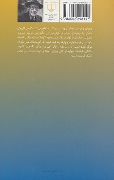 گربه درون