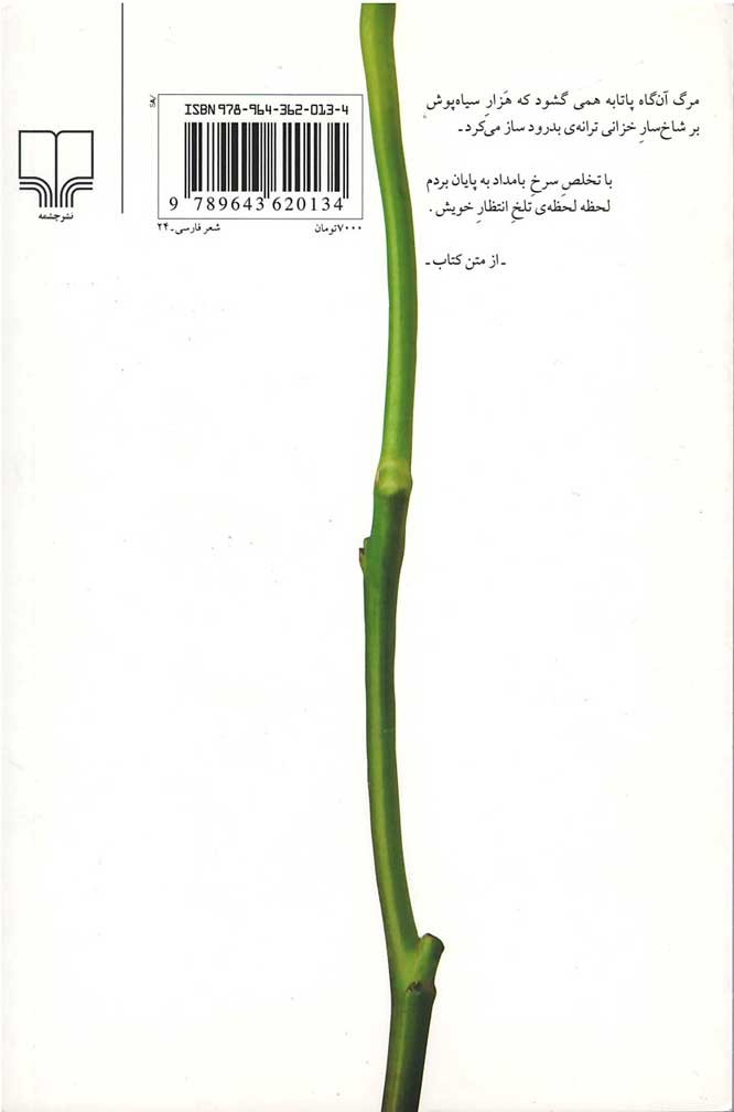 حدیث بی قراری ماهان