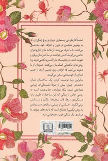 معماری شادمانی