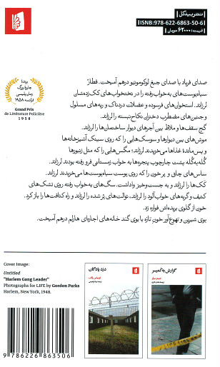 خشم در هارلم