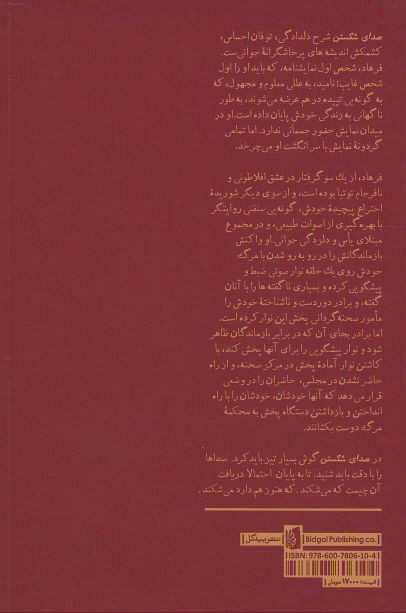 صدای شکستن