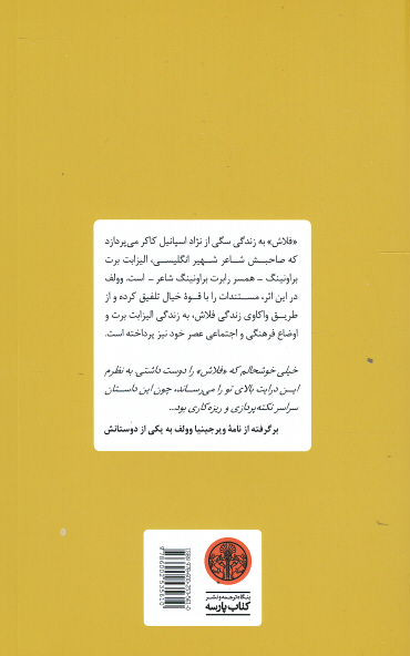 فلاش
