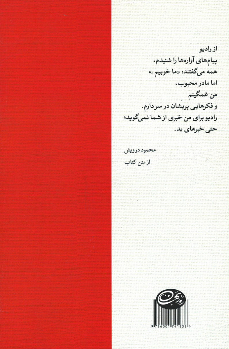 درخت زیتون