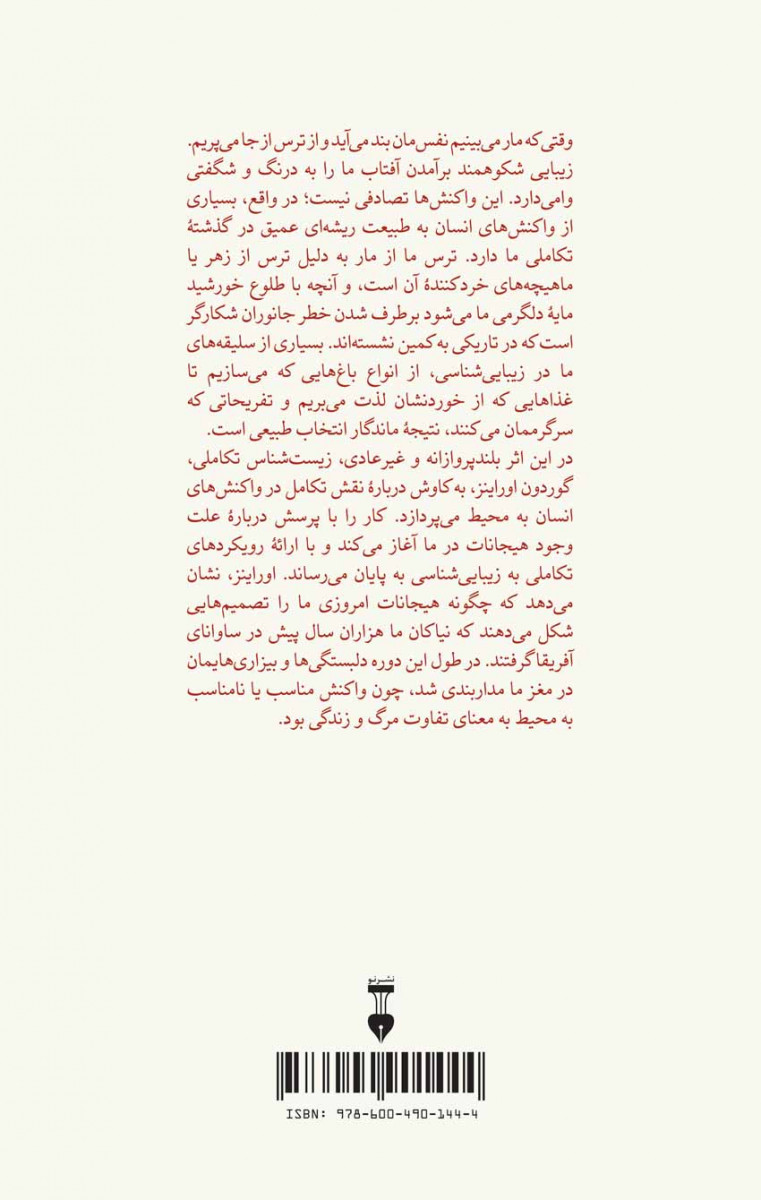 یاد جنگل دور