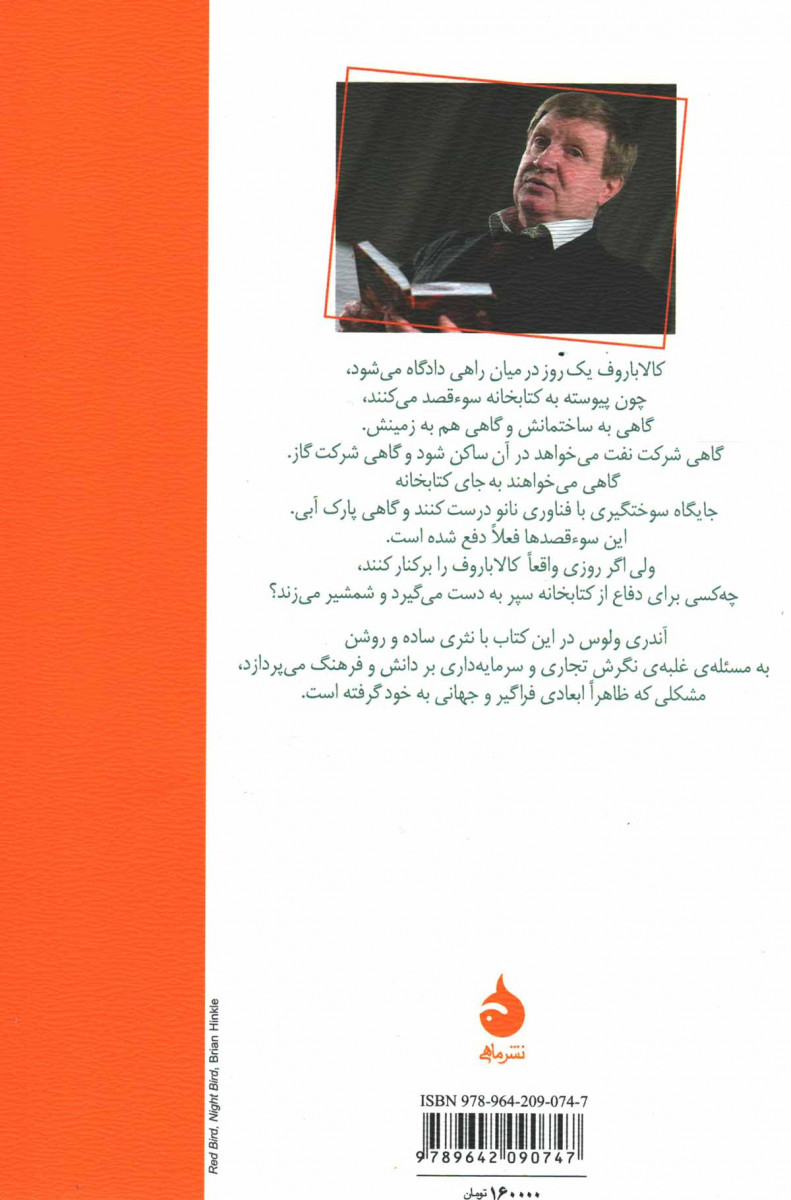 رمانی با یک طوطی