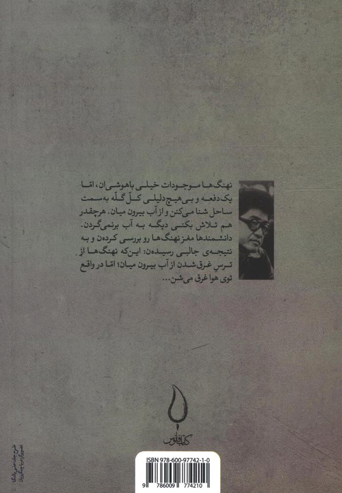 کشتی ساکورا