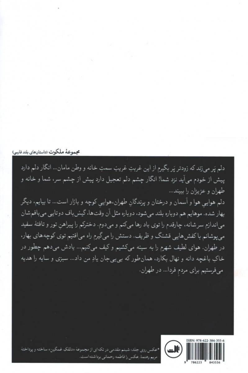 نامه های یک دلقک کوچک از شهری بسیار سرد و بسیار دور