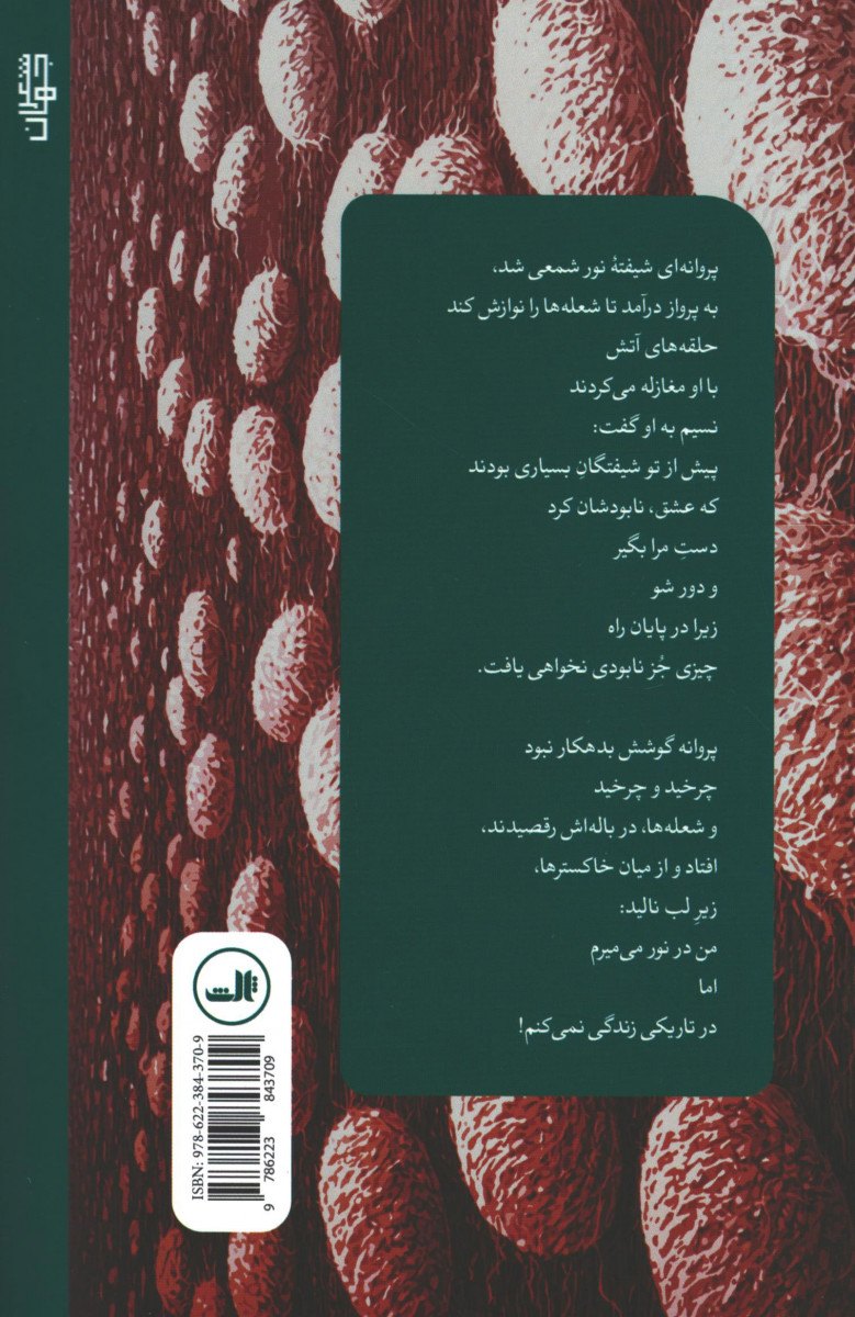 مانیفست پروانه