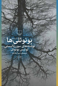 بونوئلی ها