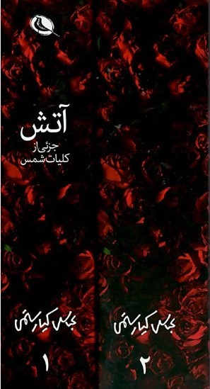 آتش (2 جلدی)