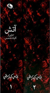 آتش (2 جلدی)