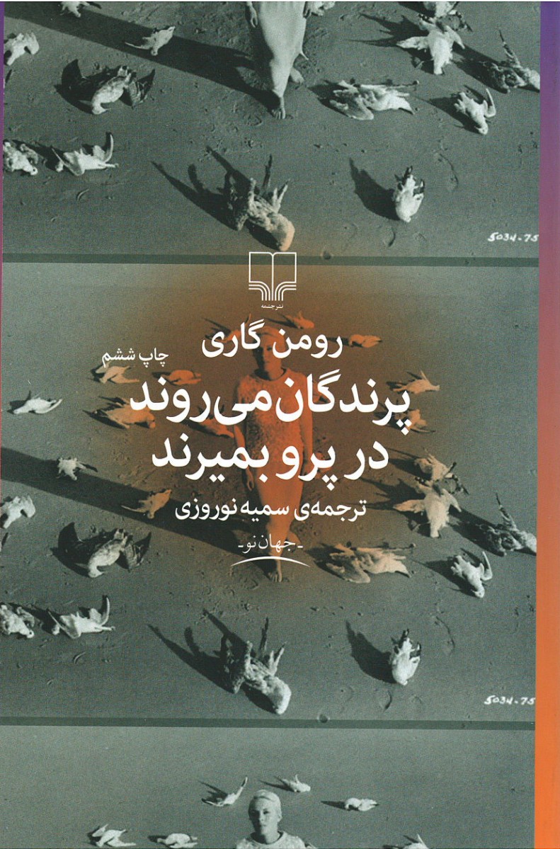 پرندگان می روند در پرو بمیرند