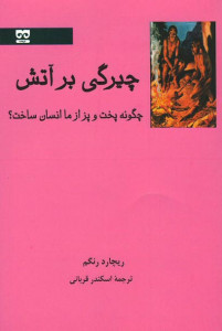 چیرگی بر آتش (چگونه پخت و پز از ما انسان ساخت؟)