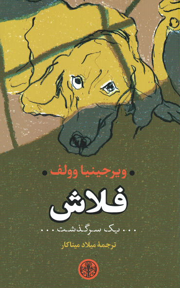 فلاش