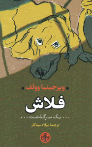 فلاش