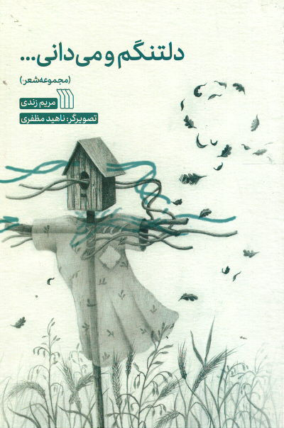 دلتنگم و می دانی...
