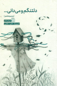 دلتنگم و می دانی...