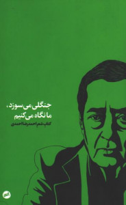 جنگلی می سوزد، ما نگاه می کنیم