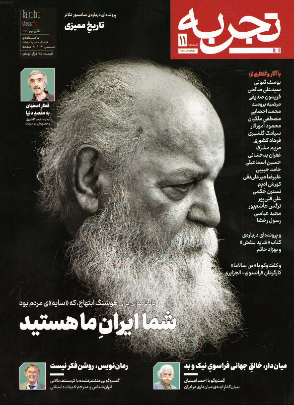 مجله تجربه شماره ۱۱ (دوره جدید)
