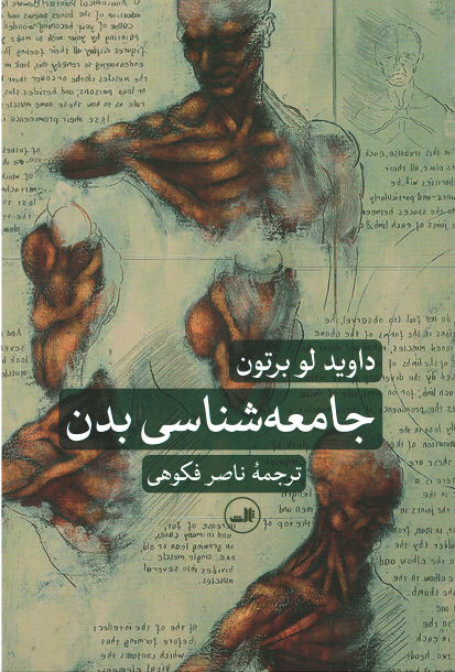 جامعه شناسی بدن