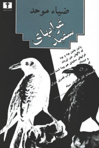 غرابهای سفید