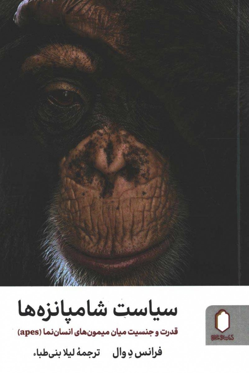 سیاست شامپانزه ها