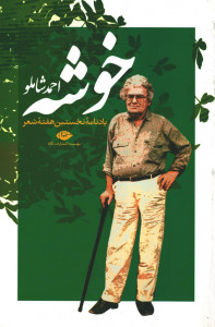 خوشه